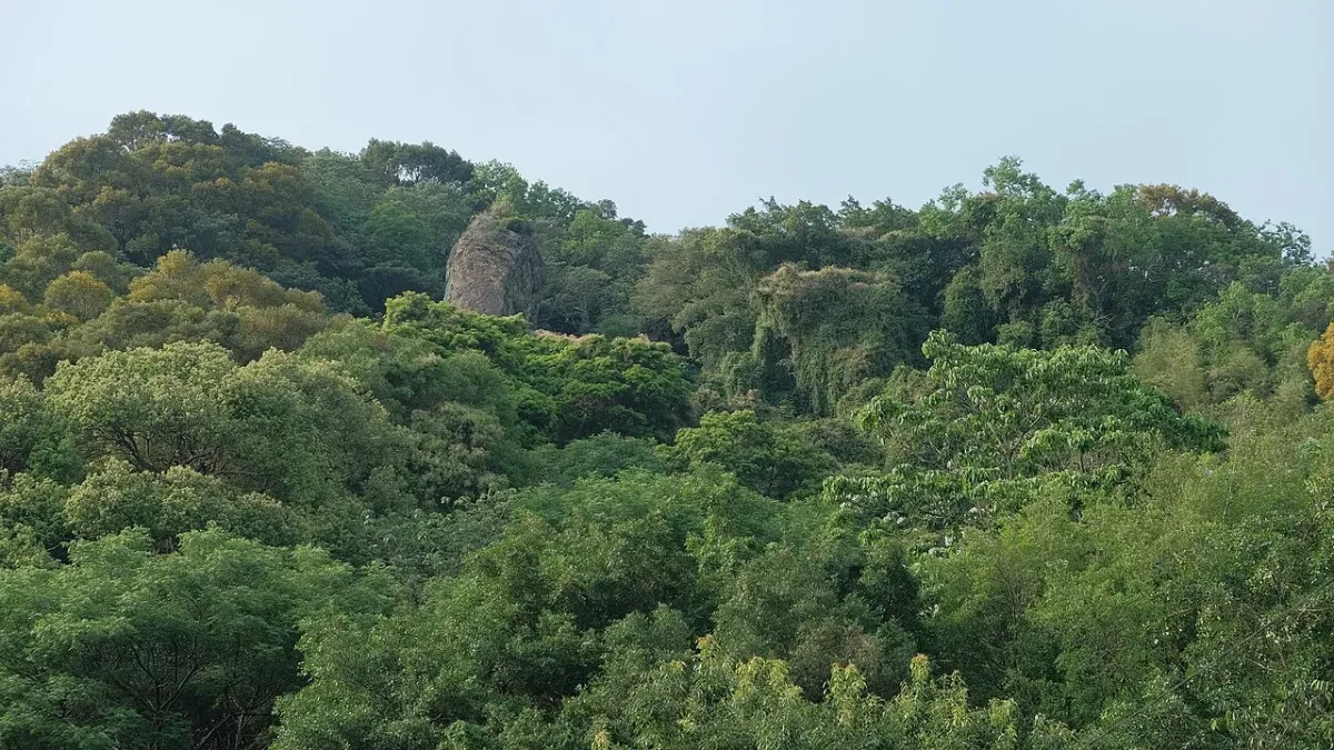 鶯歌石巨岩與周邊山景